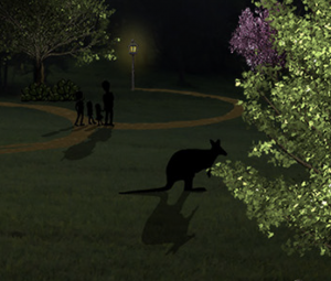 Kangaroo in the moonlight