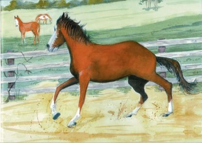 A drawing of father Pedro excited to see Peppy in the next field with Penny, Peppy' mother grazing in the background.