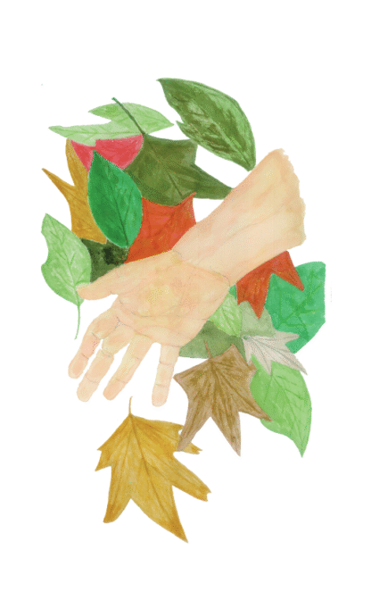 hand reaching through autumn leaves