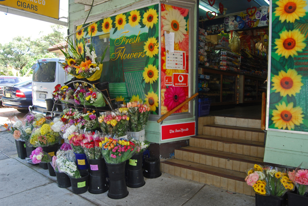 Dee Why village Fisher Road Flower (and more) Shop